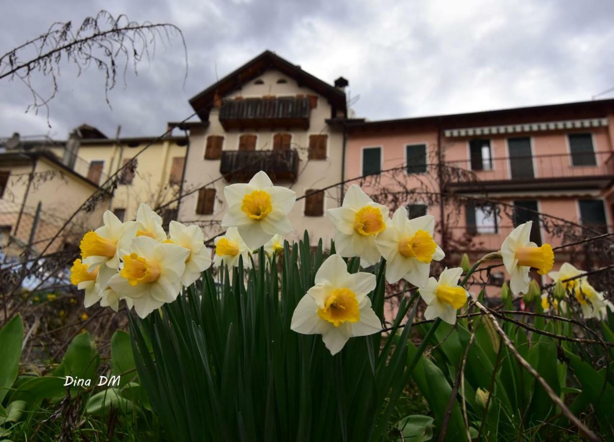 “Oltre Il Confine” Lägenhet Belluno Exteriör bild